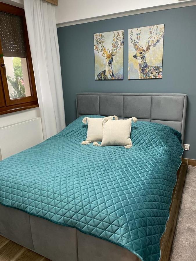 Apartament Sosnowy Zakatek กลีวิตเซ ภายนอก รูปภาพ