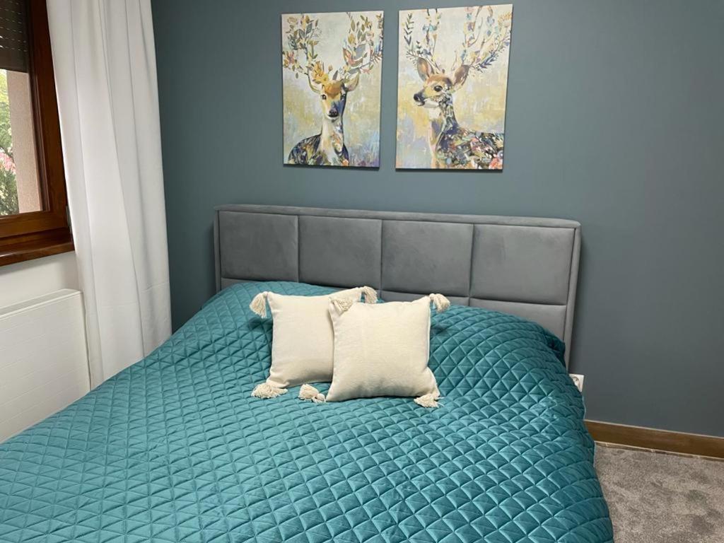 Apartament Sosnowy Zakatek กลีวิตเซ ภายนอก รูปภาพ