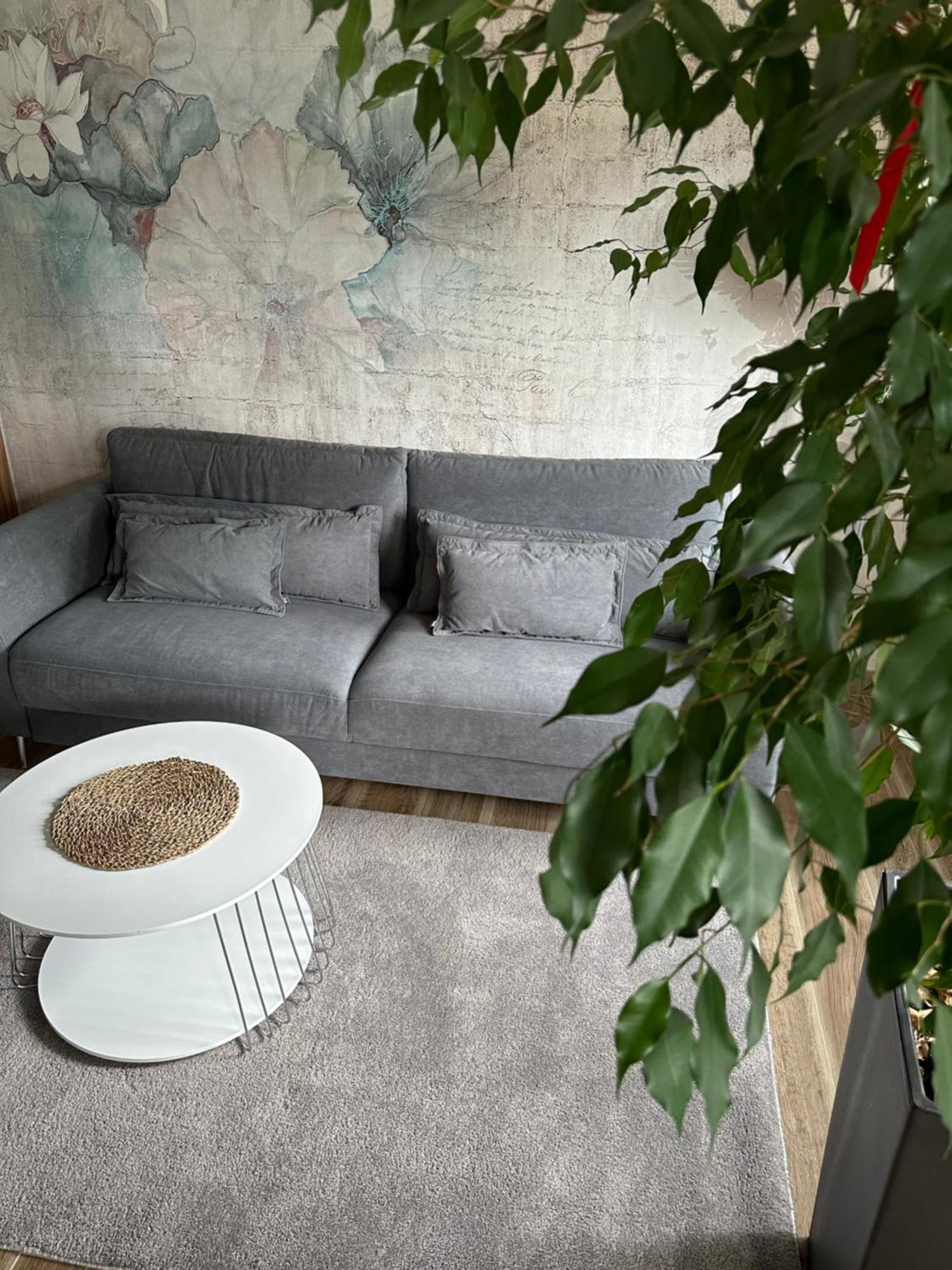 Apartament Sosnowy Zakatek กลีวิตเซ ภายนอก รูปภาพ